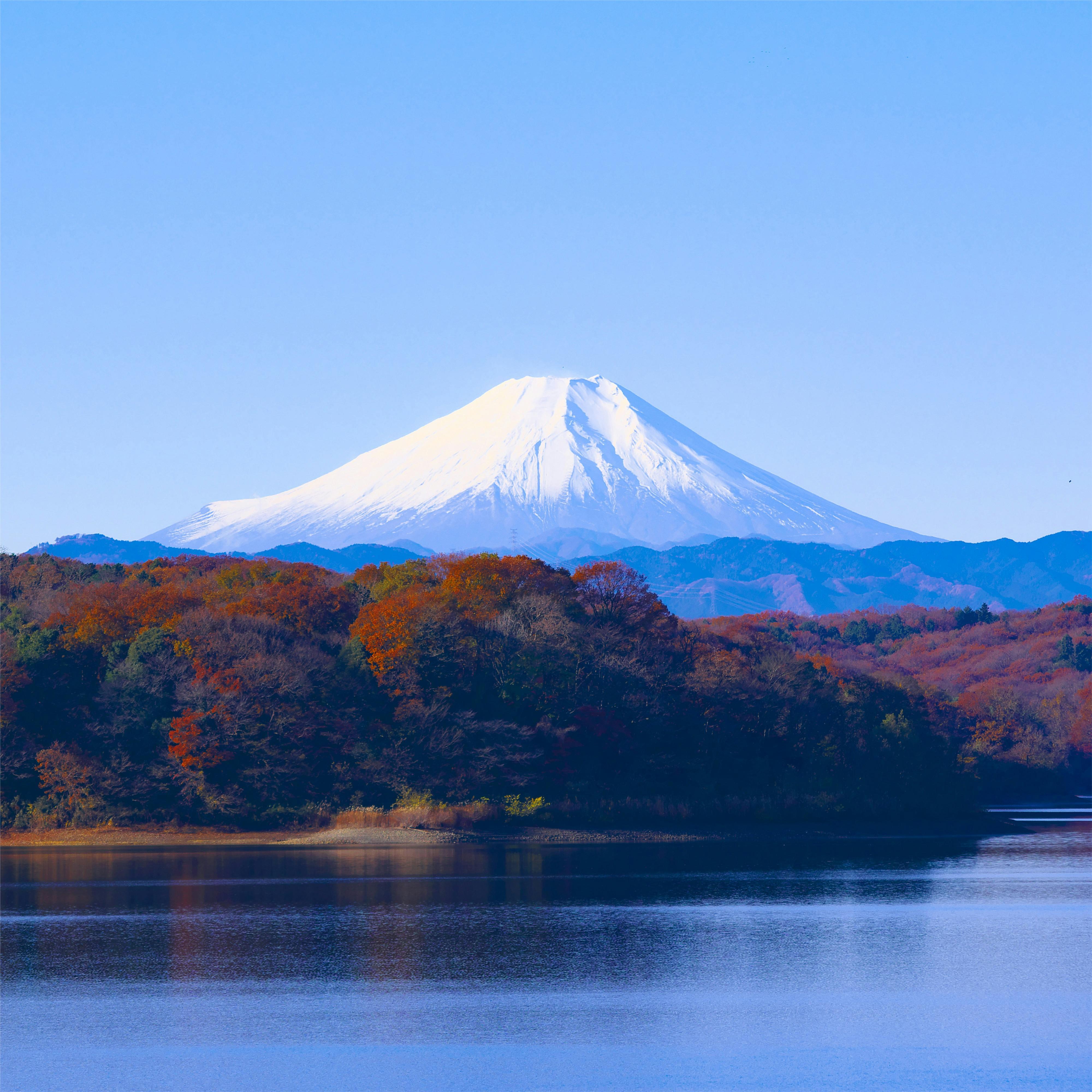 日本高级人才签证